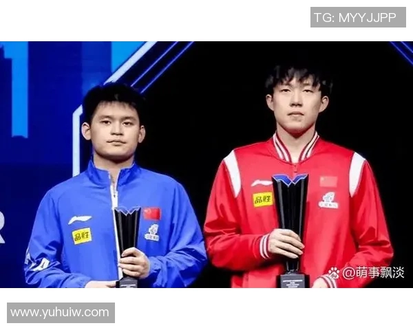 吴芳独家分享乒乓球技巧与心得助你提升球技的全面指南