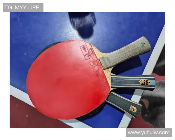 杨丽独家分享乒乓球技巧与心得助你提升球技的秘密大公开