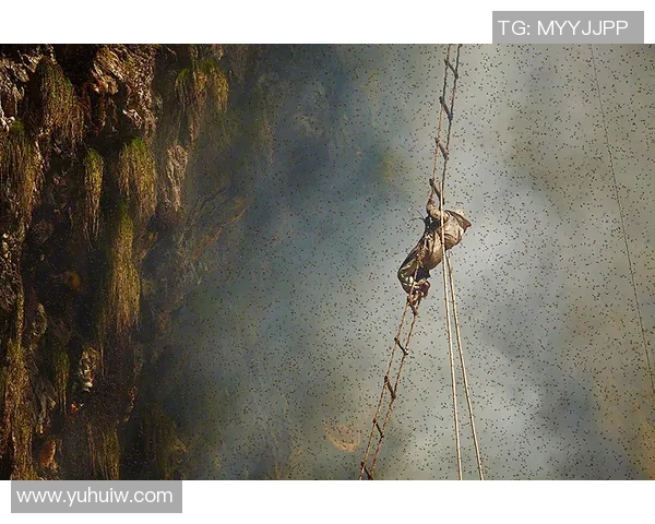 深圳攀岩队包夹革新之路探索与实践的全景报告